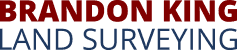 Brandong King Logo